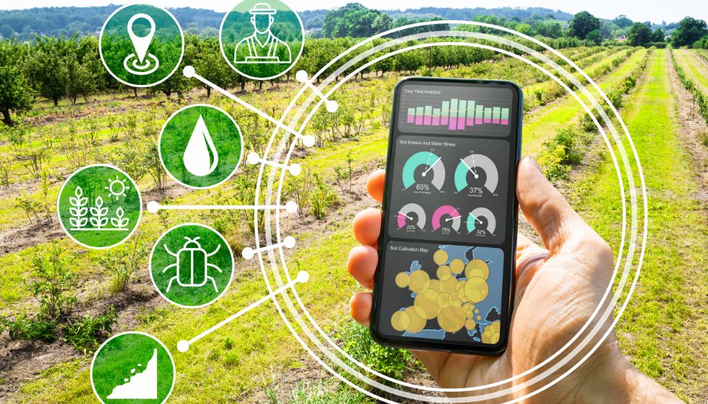 Digitalisierung der Landwirtschaft Effizienzsteigerung, Risikominimierung und nachhaltige Praktiken