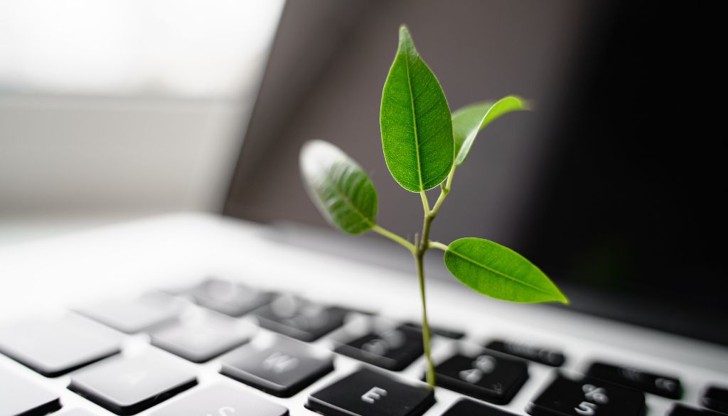 Digitalisierung und Klimawandel: Nachhaltige Lösungsansätze für die Zukunft